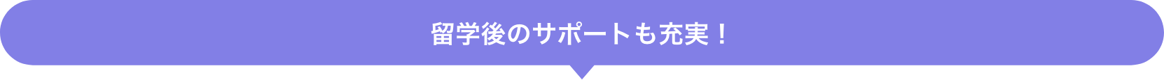 留学後のサポートも充実！