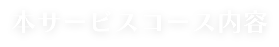 本サービスコース内容