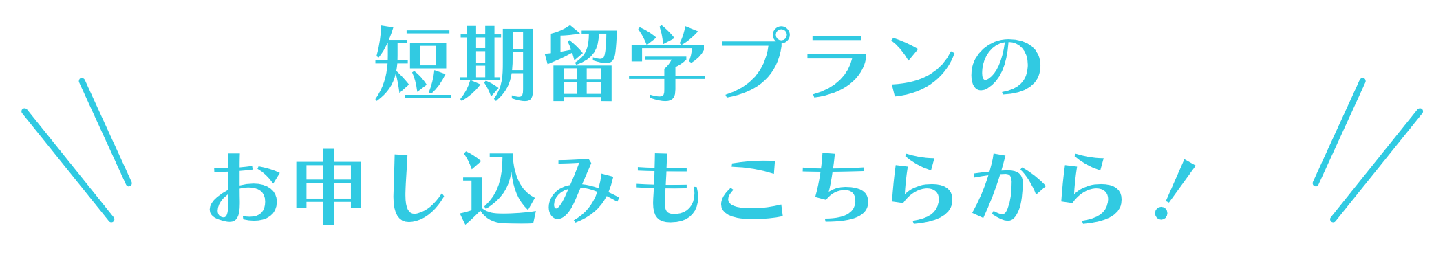 短期留学プランのお申し込みもこちらから！